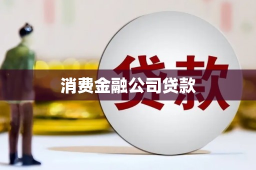 卑南消费金融公司贷款