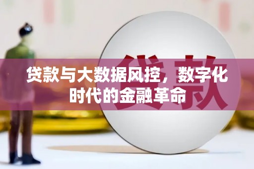 叶县贷款与大数据风控，数字化时代的金融革命
