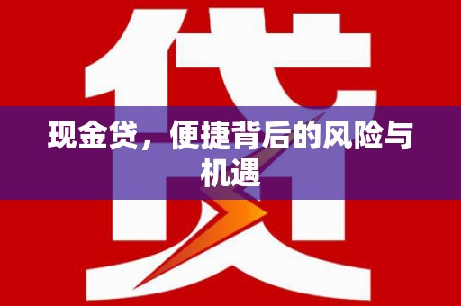郫县现金贷，便捷背后的风险与机遇