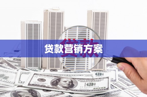 双柏贷款营销方案