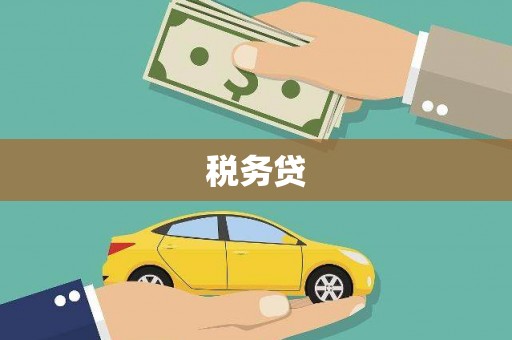 漯河税务贷