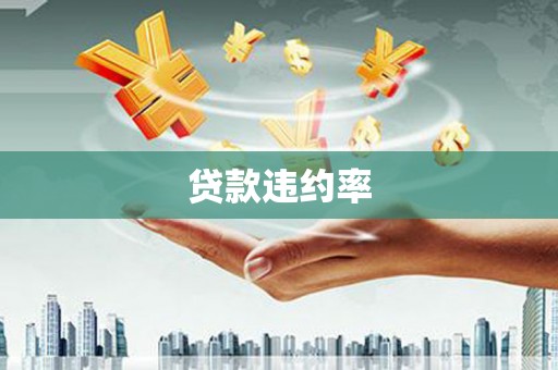毕节贷款违约率