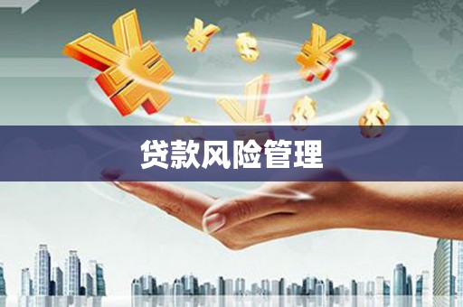 元长贷款风险管理