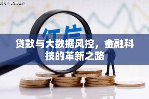 花莲贷款与大数据风控，金融科技的革新之路