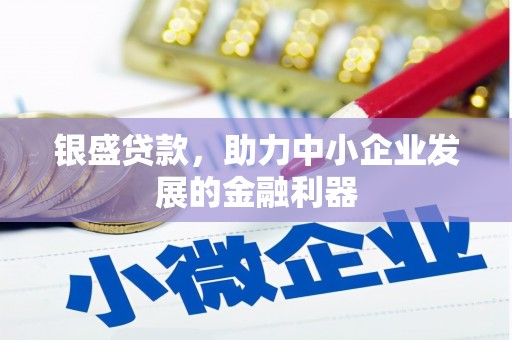 保税区银盛贷款，助力中小企业发展的金融利器