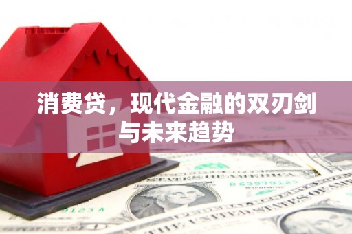 龙游消费贷，现代金融的双刃剑与未来趋势