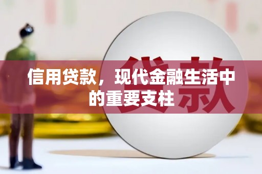 东乡族信用贷款，现代金融生活中的重要支柱