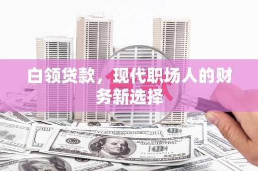 雷州白领贷款，现代职场人的财务新选择