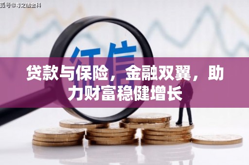 麦寮贷款与保险，金融双翼，助力财富稳健增长