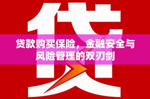 延平贷款购买保险，金融安全与风险管理的双刃剑