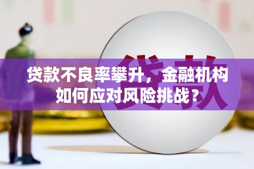 员山贷款不良率攀升，金融机构如何应对风险挑战？
