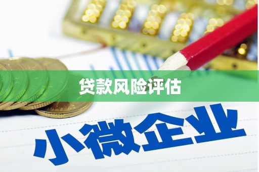 昆明贷款风险评估