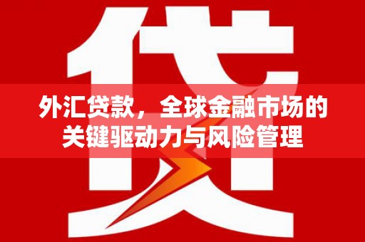 阿莲外汇贷款，全球金融市场的关键驱动力与风险管理