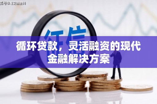 普湾新区循环贷款，灵活融资的现代金融解决方案