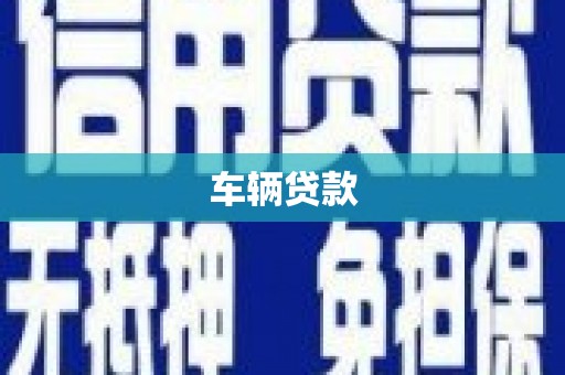 天元车辆贷款