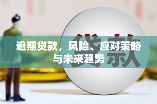 额尔古纳逾期贷款，风险、应对策略与未来趋势