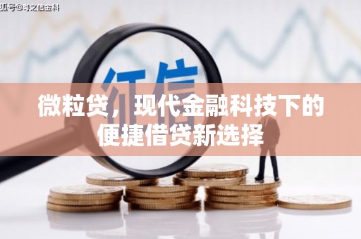 花山微粒贷，现代金融科技下的便捷借贷新选择