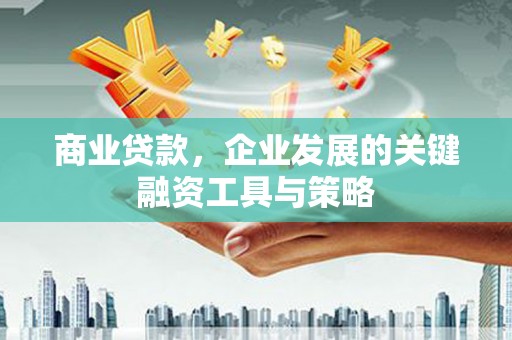 东方商业贷款，企业发展的关键融资工具与策略