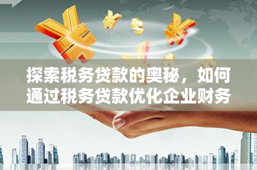 和林格尔探索税务贷款的奥秘，如何通过税务贷款优化企业财务