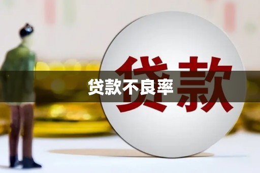 福州贷款不良率