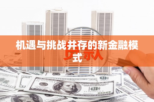 新营机遇与挑战并存的新金融模式