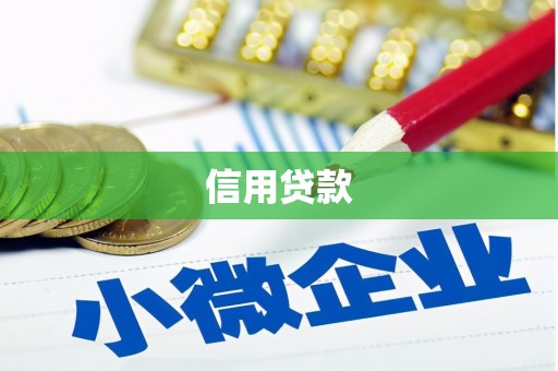船营信用贷款