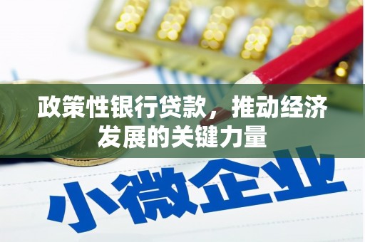 蕲春政策性银行贷款，推动经济发展的关键力量