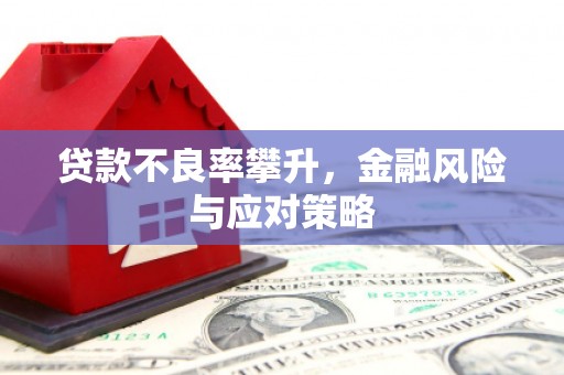 民勤贷款不良率攀升，金融风险与应对策略