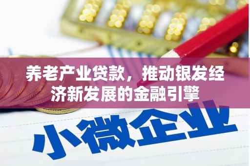 口湖养老产业贷款，推动银发经济新发展的金融引擎