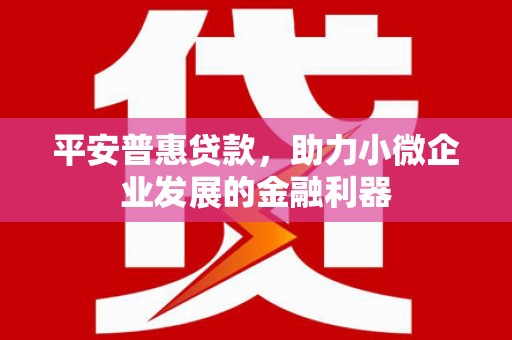 双阳平安普惠贷款，助力小微企业发展的金融利器