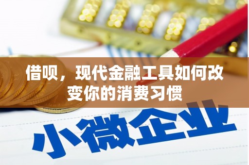 隆尧借呗，现代金融工具如何改变你的消费习惯