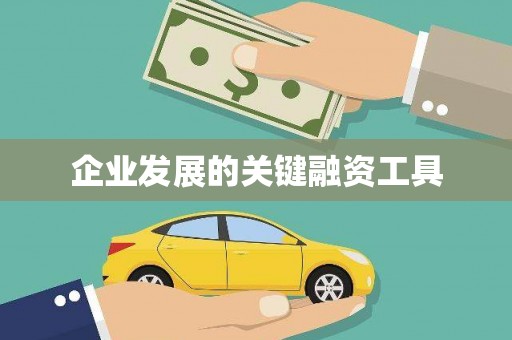 亭湖企业发展的关键融资工具