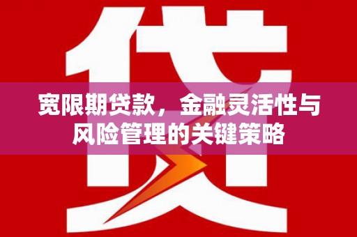 陕西宽限期贷款，金融灵活性与风险管理的关键策略