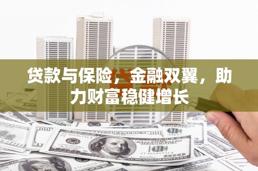 巴里坤贷款与保险，金融双翼，助力财富稳健增长