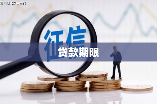 林内贷款期限