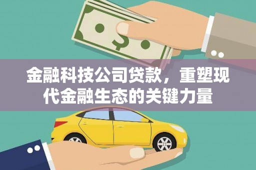 芦洲金融科技公司贷款，重塑现代金融生态的关键力量