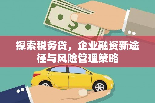 武安探索税务贷，企业融资新途径与风险管理策略