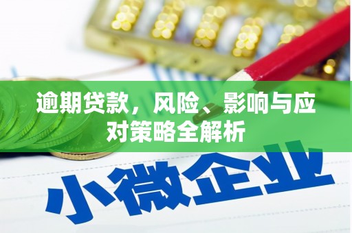 呼兰逾期贷款，风险、影响与应对策略全解析