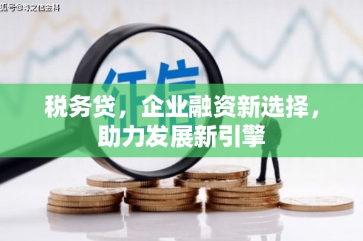 芦竹税务贷，企业融资新选择，助力发展新引擎