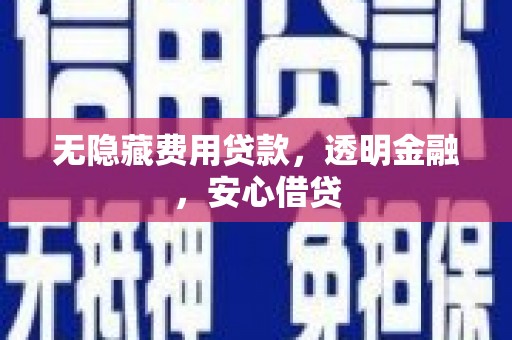平舆无隐藏费用贷款，透明金融，安心借贷