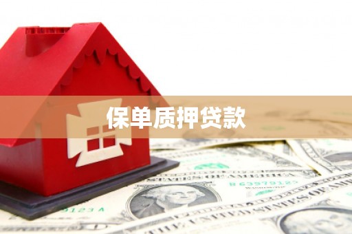 临湘保单质押贷款
