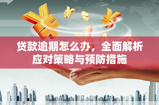 港南贷款逾期怎么办，全面解析应对策略与预防措施