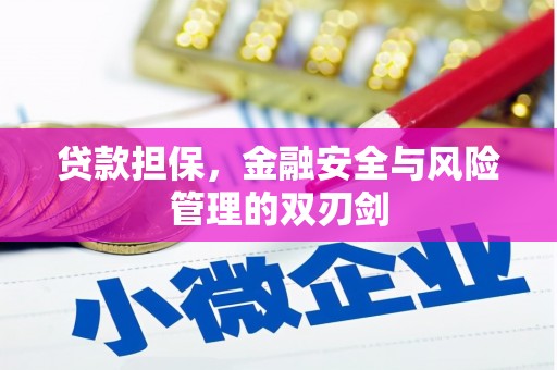 青秀贷款担保，金融安全与风险管理的双刃剑