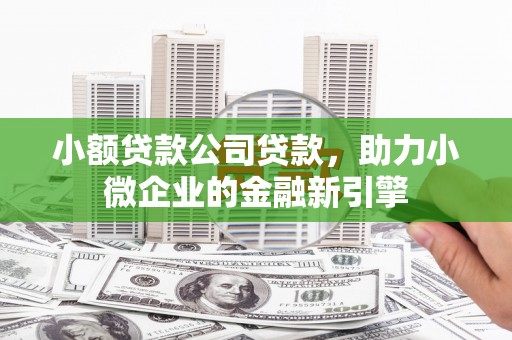 临渭小额贷款公司贷款，助力小微企业的金融新引擎