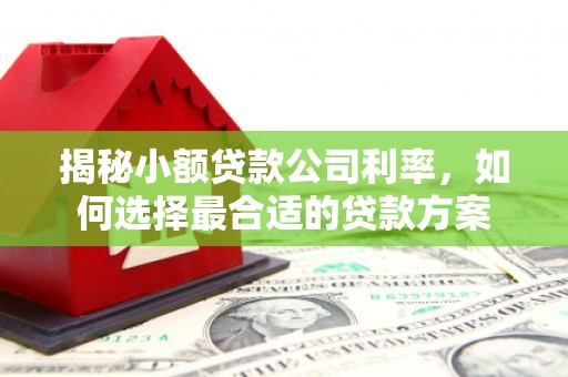 馆陶揭秘小额贷款公司利率，如何选择最合适的贷款方案