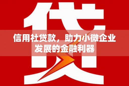 志丹信用社贷款，助力小微企业发展的金融利器