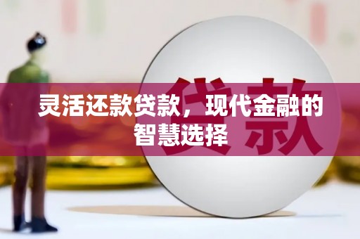 临安灵活还款贷款，现代金融的智慧选择