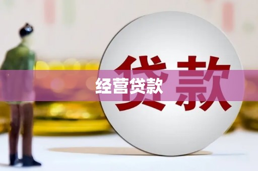 河北经营贷款