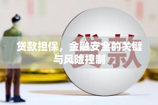 信州贷款担保，金融安全的关键与风险控制