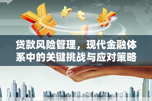 洛隆贷款风险管理，现代金融体系中的关键挑战与应对策略